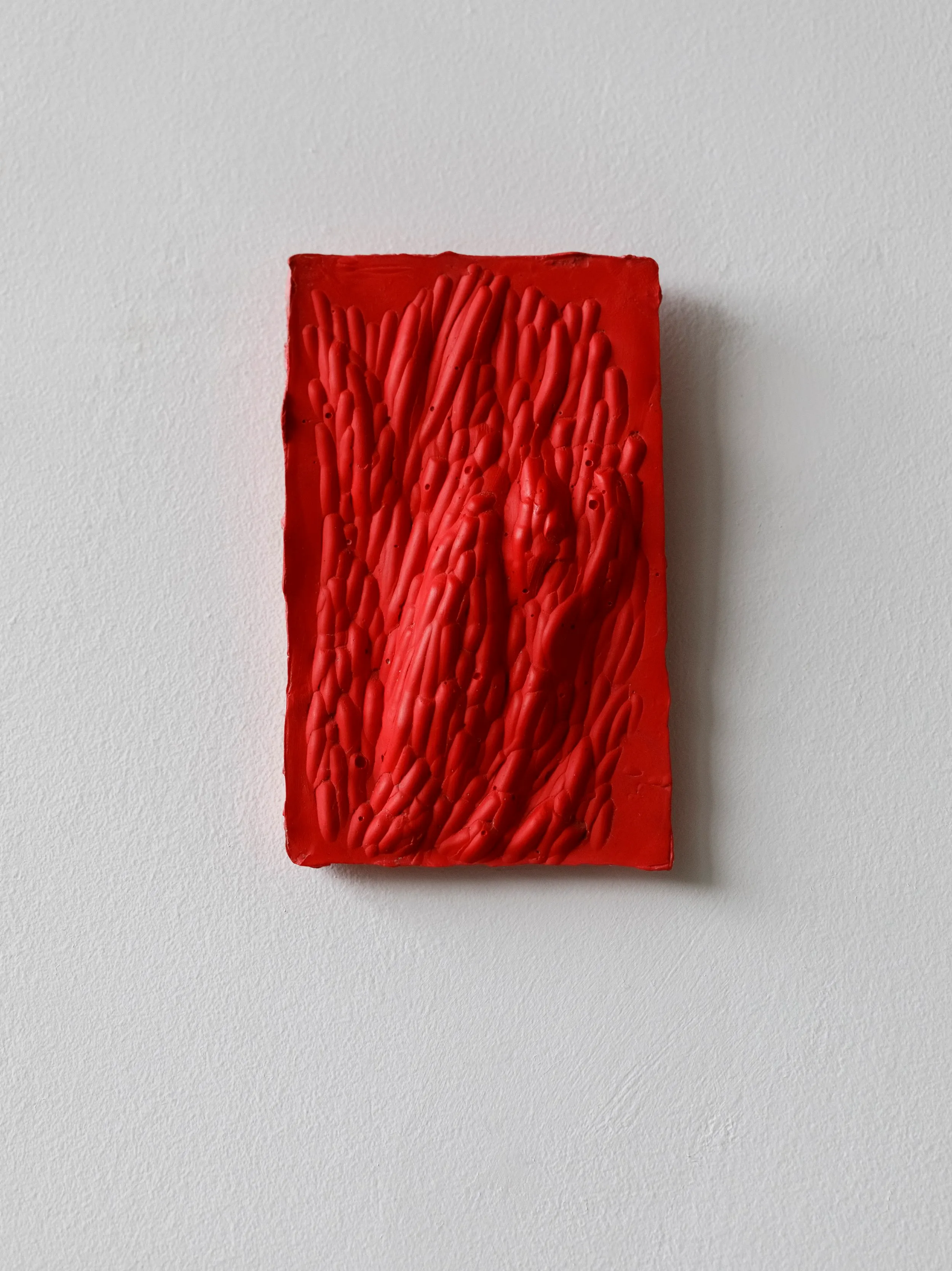 Plasticut 3 — Arne Nys