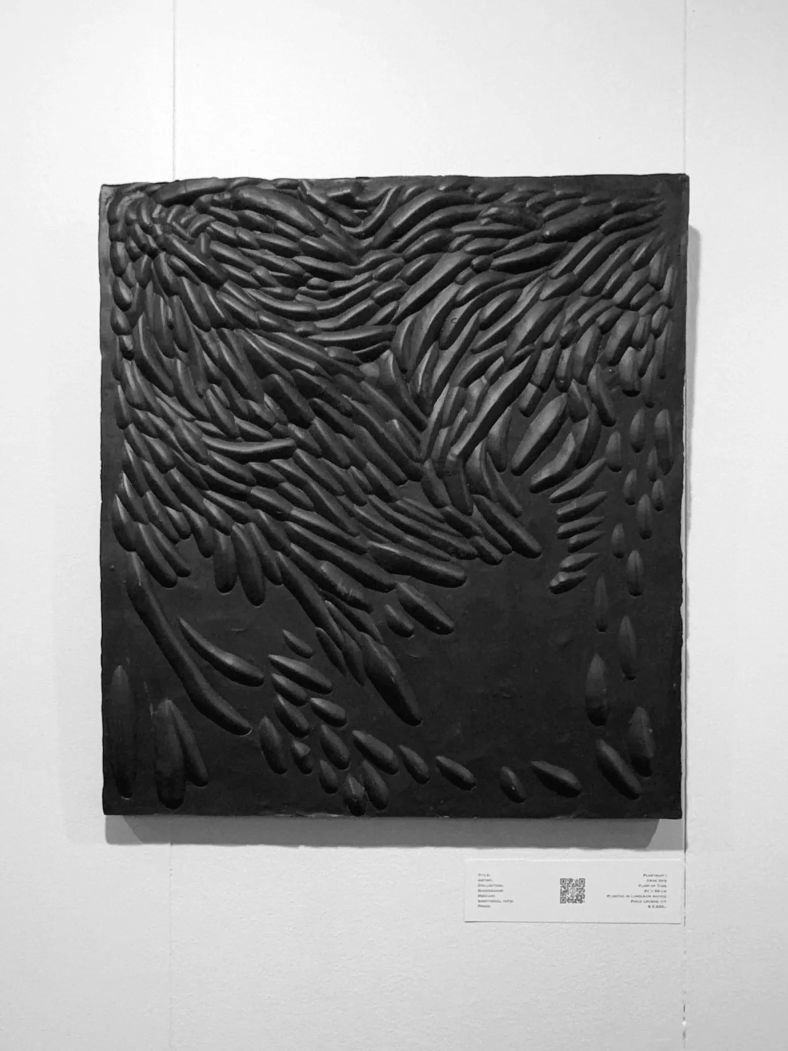 Plasticut I — Arne Nys