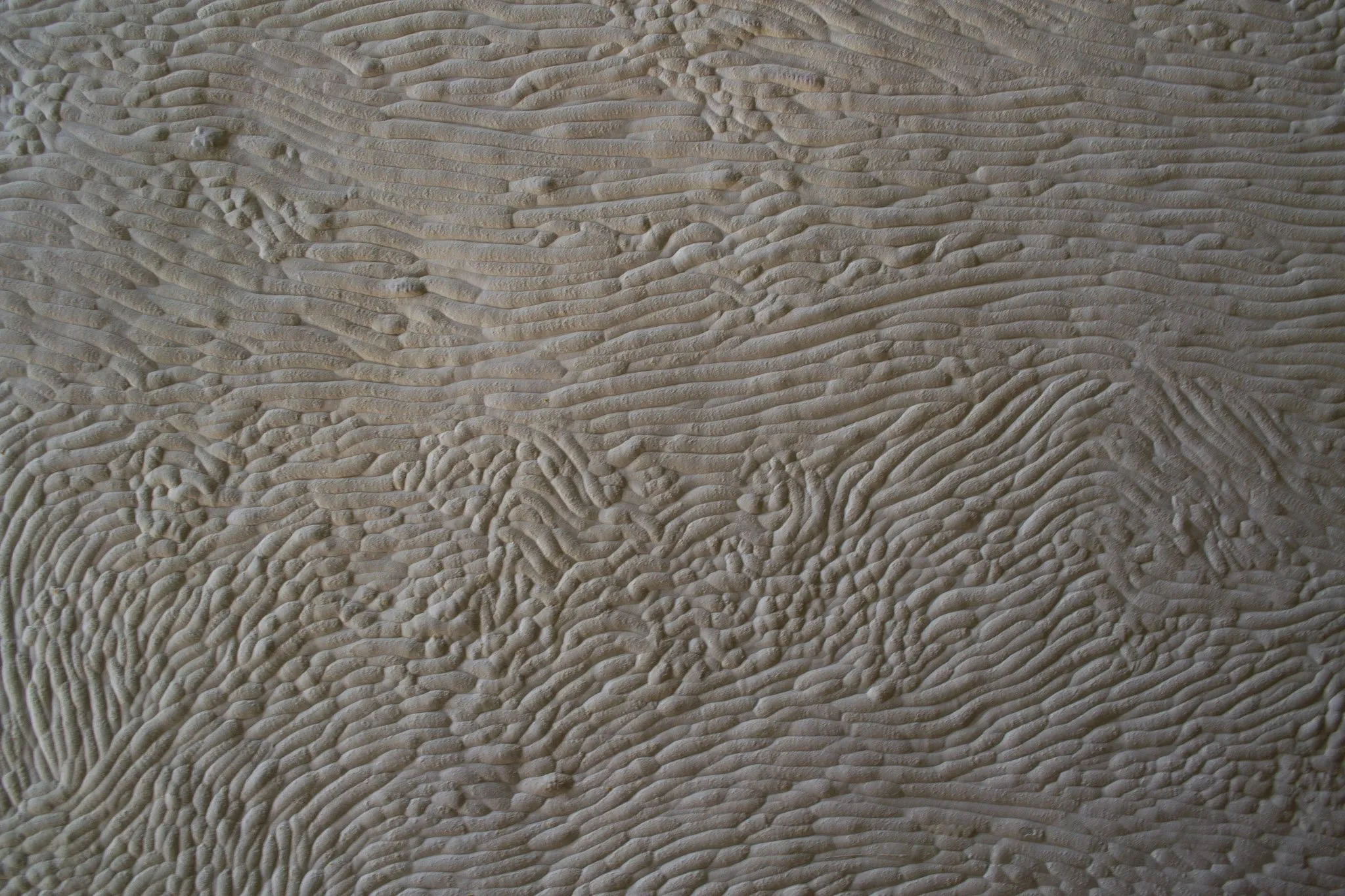Tijdstroom — Arne Nys