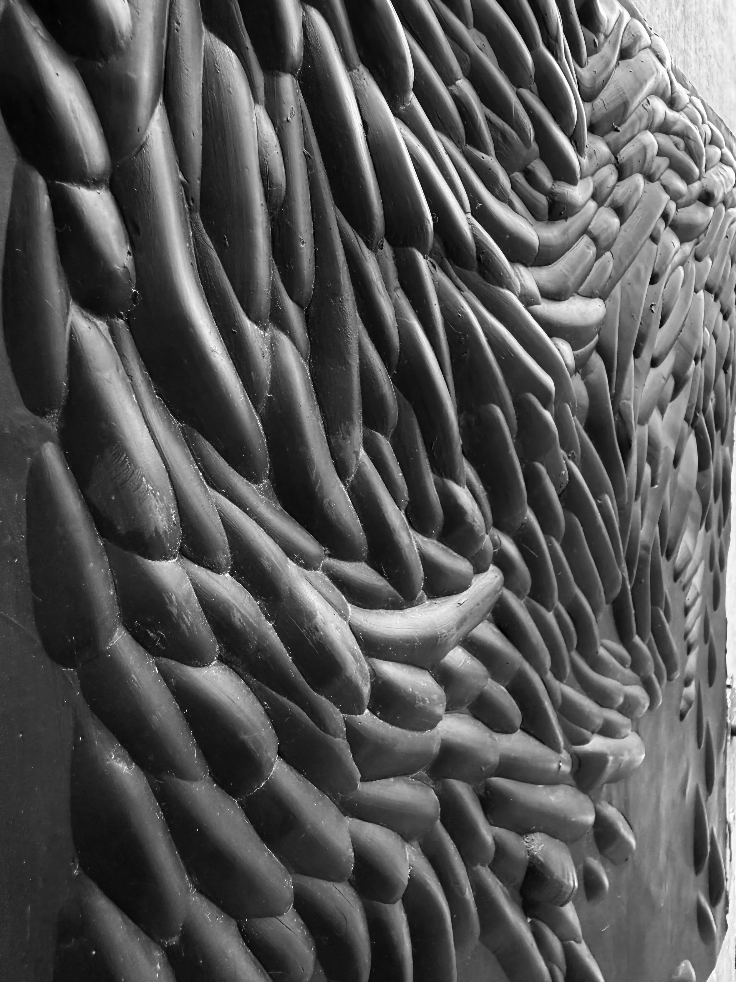 Plasticut I — Arne Nys